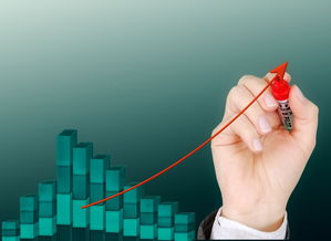 ac米兰球队官网-中小学体育课外活动管理优化策略，中小学体育课外活动管理优化策略研究